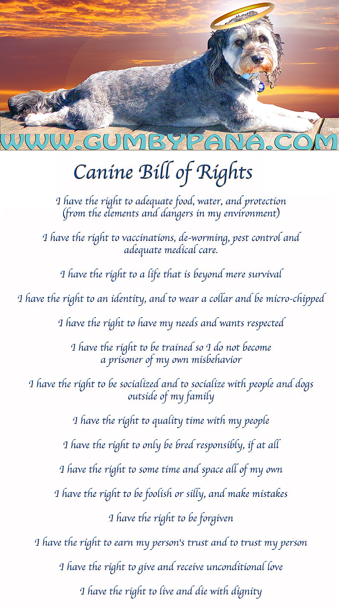 Canine Bill of Rights