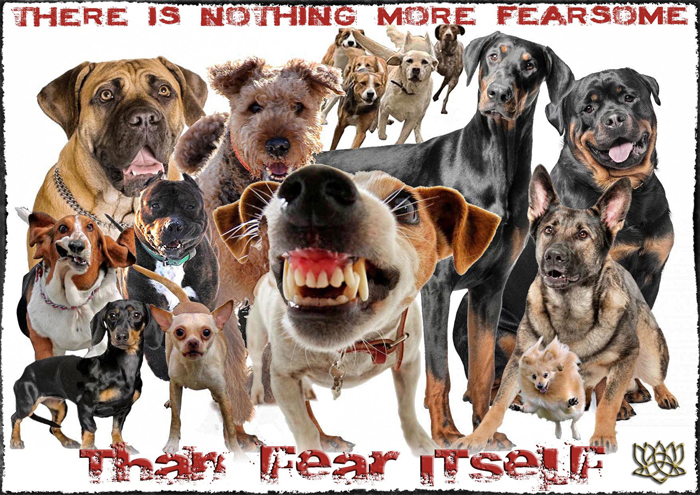 Healing the Trauma of Dog Bites and Attacks